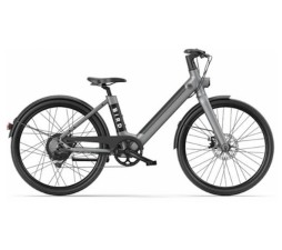 Slika izdelka: Električno kolo Bird Bike V-FRAME Siva