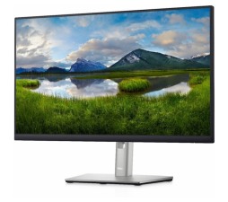 Slika izdelka: Monitor DELL P2422HE