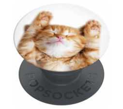 Slika izdelka: Popsockets držalo / stojalo Popgrip Basic - Snoozy Cat
